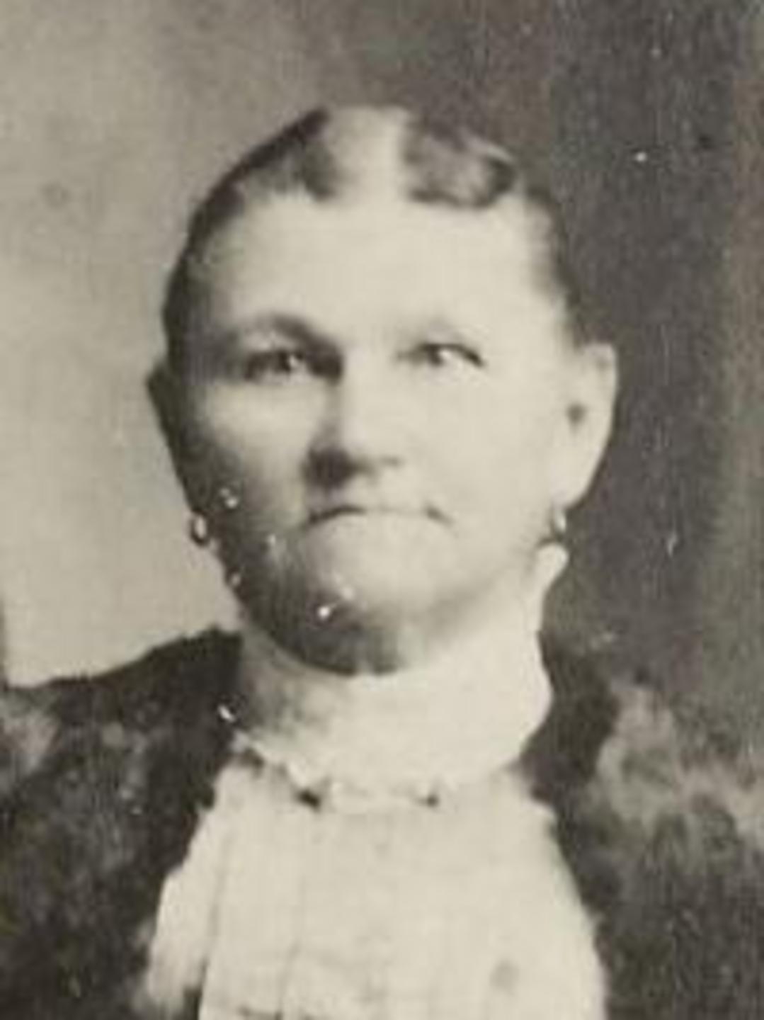 Mary Ann Bliss (1846 - 1928) Profile